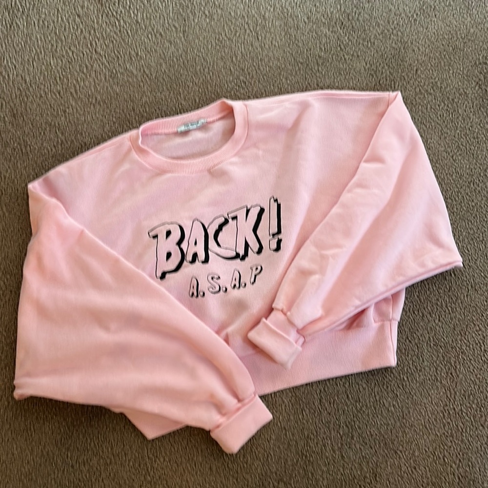 Zara Trafaluc cropped sweatshirt